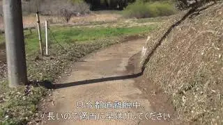 都道１５５号を散策