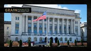USDA Refuses to Acknowledge STRONG Corn Exports