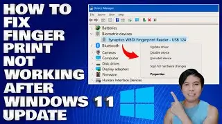 How To Fix Fingerprint (Biometric) Not Working After Windows 11 Update