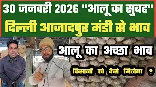 आलू कि ग्राहकी जबरदस्त, Azadpur Delhi Mandi Today में 30-01-2026 के Potato Price DMT TV