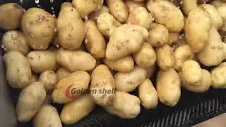 Video showing the process of washing vegetables with a hair roller washing machine