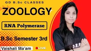 RNA Polymerase| Zoology 3rd Semester l B.Sc 3rd Semester | Vaishali Ma'am