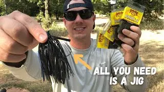 Best Bait for Big Bass all year round