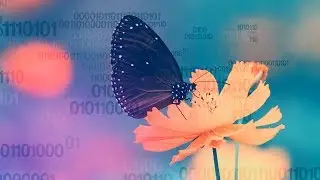 eleven.five & Sundrowner - Gemini [Silk Music]