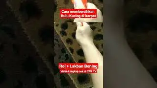 Cara membersihkan bulu kucing di karpet cukup dengan roll cat & lakban bening