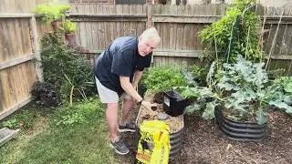 Vermicomposting in a raised garden bed. 