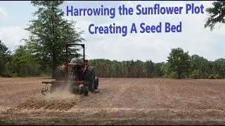Harrowing the Sunflower Plot - creating a seed bed for the 2024 Dove Field