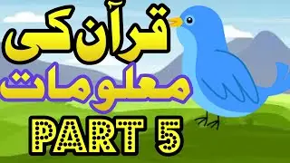 Islamic Questions AnswersIsl Questions Answer birds cartoon islamic cartoon