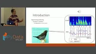 David Nicholson and Yarden Cohen - Neural Networks for Segmentation of Vocalizations