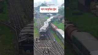 Snake shape train
