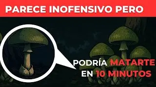 Parece Comestible, Pero Te Mate En Minutos - Amanita phalloides