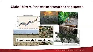 Dr. Nick Ogden, Public Health Agency of Canada