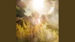 By Streams of Water