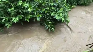 12 minutes live shot of a flooded river next to a house in a village during heavy rain