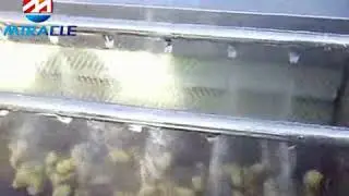 Video of ginger peeler washing machine