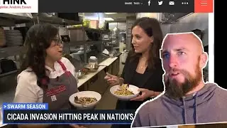 Media Push Bugs for Breakfast?! - Primal Edge Health