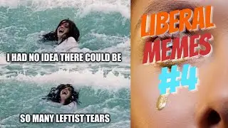 Liberal Memes #4