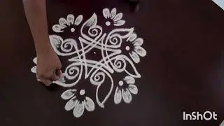 🪷Traditional hamsa muggulu🪷| simple designs| easy design muggulu| everyday muggulu 