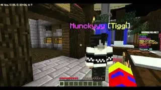 Minecraft Shopping Chaos #1