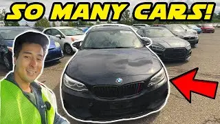 Visiting One of the Largest Auto Auctions in the USA!