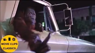 Any Which Way You Can (1980) - Right turn Clyde