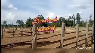 Developing towns... More of Rumuruti, Laikipia County 2021