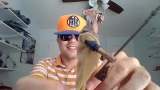 Guy Born Blind Unboxes Hasbro Star Wars VintageCollection Saelt-Marae(YakFace)