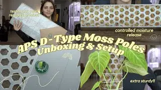 Aroid Plant Supplies D-Type Moss Pole 🌱 Philodendron Splendid Setup 🌿