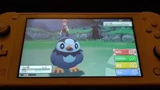 Pokemon Shining Pearl Trainer Music Bug