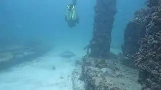 Stingray race Miami Beach