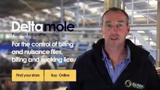 Delta Mole - Deltamethrin Pour On for Cattle from Molecare | Mole Valley Farmers