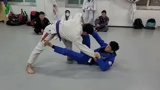 초급기술:스파이더가드스윕(Beginner bjj: Spider guard sweep)@jiujicerotv #스파이더가드스윕 #spiderguardsweep #sweep #스윕