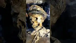 Ship Captain's Skull // Cr&aacute;neo Capit&aacute;n de barco  #oddities #skulls #craneos #ojearte #atrezzo #props