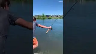Anything for the fish #montana #fishing