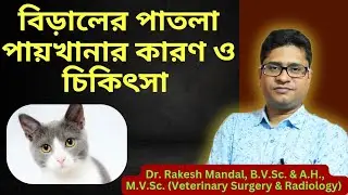 বিড়ালের পাতলা পায়খানার কারণ ও চিকিৎসা II #diarrhoea_treatment_for_cats