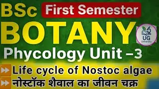 B.Sc. 1st Year Botany Notes NOSTOC Full Explanation | Structure, Reproduction & Life Cycle | 