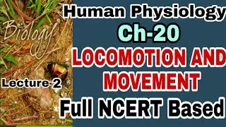 NCERT Ch-20 Locomotion and Movement Class XI Human Physiology lecture 2 Boards