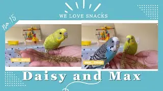 We love snacks