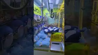 Shark BALL plush DROP'D!