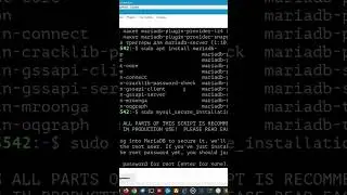 Настройка безопасности в MariaDB. #linux #sql