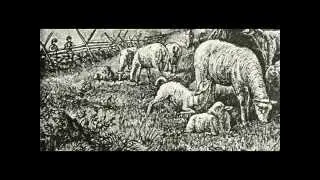 e 0-42 Video Lesson XLII: The sheep. - McGuffey's Eclectic Primer (revised edition)