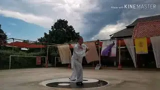 Wudang Sanfeng Taijiquan 28 form