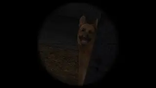 Real Return to Castle Wolfenstein - Radar - German Shepherd Hunting Underwater