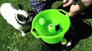 GoDogGo Fetch Machine Automatic Ball Thrower for Dogs