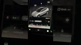 Tesla Grok AI Overview. Proceed with caution