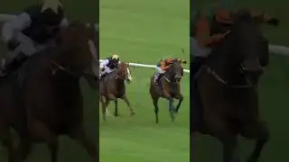 A really promising seasonal debut from RED MIRAGE...