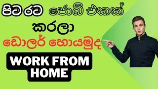How to earn E-Money In Sinhala 2024 | Work from home jobs | Earn $ 800 per month Typing Job Hiresine