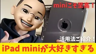 【アップル製品】やっぱりiPad miniが至高です！