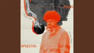 Polos Opuestos