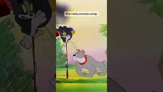 Reel life vs Real life । Example of Tom and Jerry